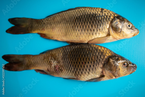 big carp fish on the table on blue background © Pavel