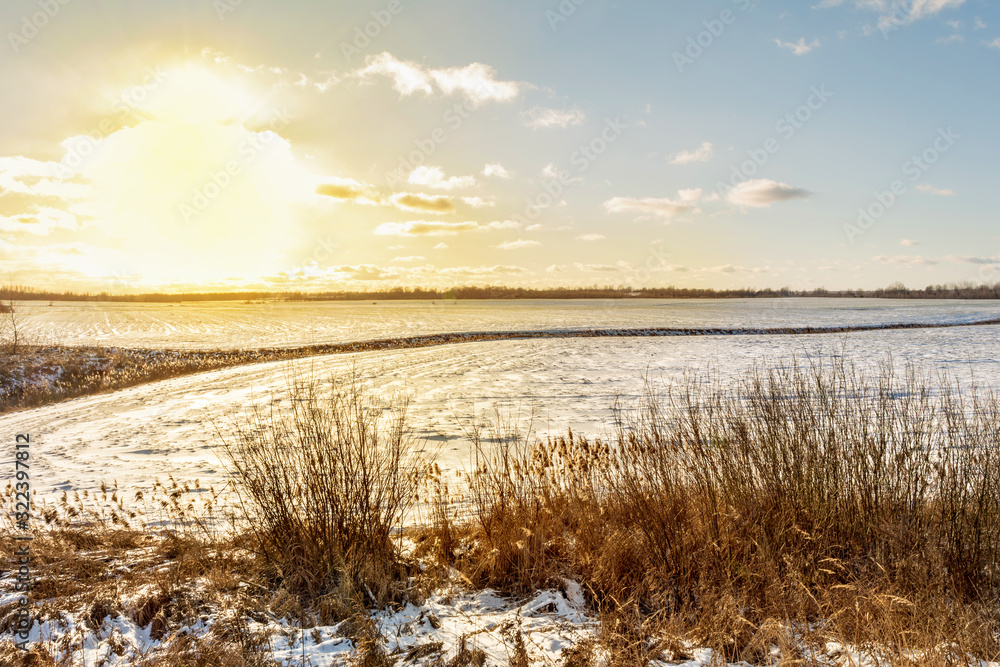beautiful sunset on a background of a snowy field with orange dry grass and bushes