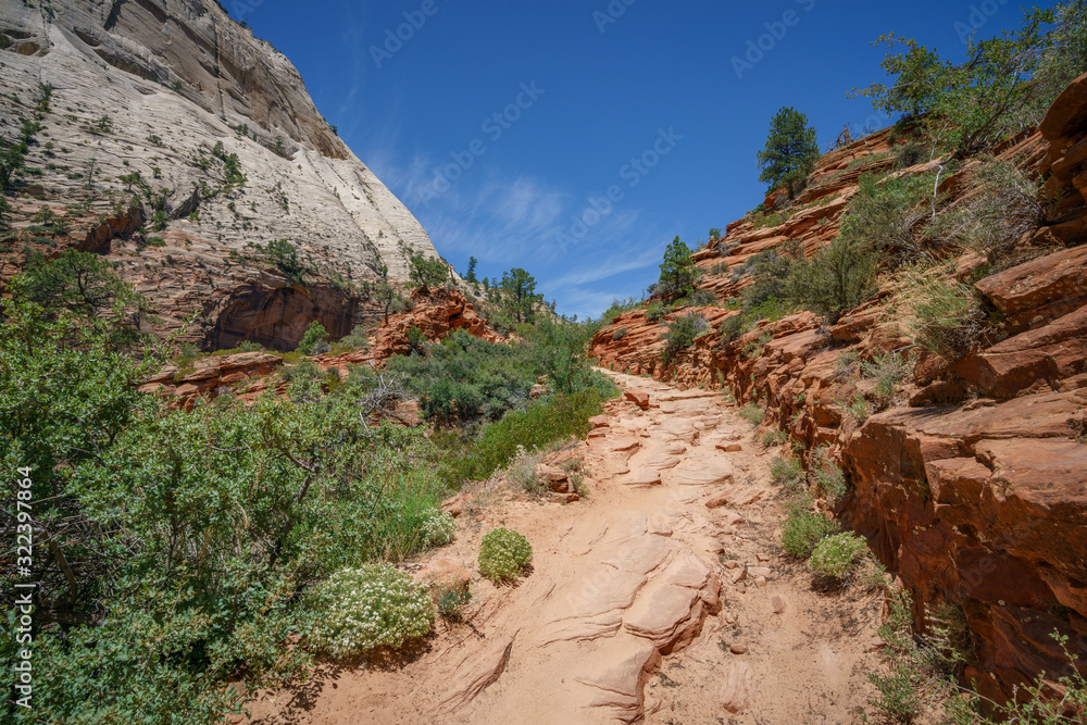 hiking west rim trail in zion national park, usa hiking west rim trail in zion national park, usa