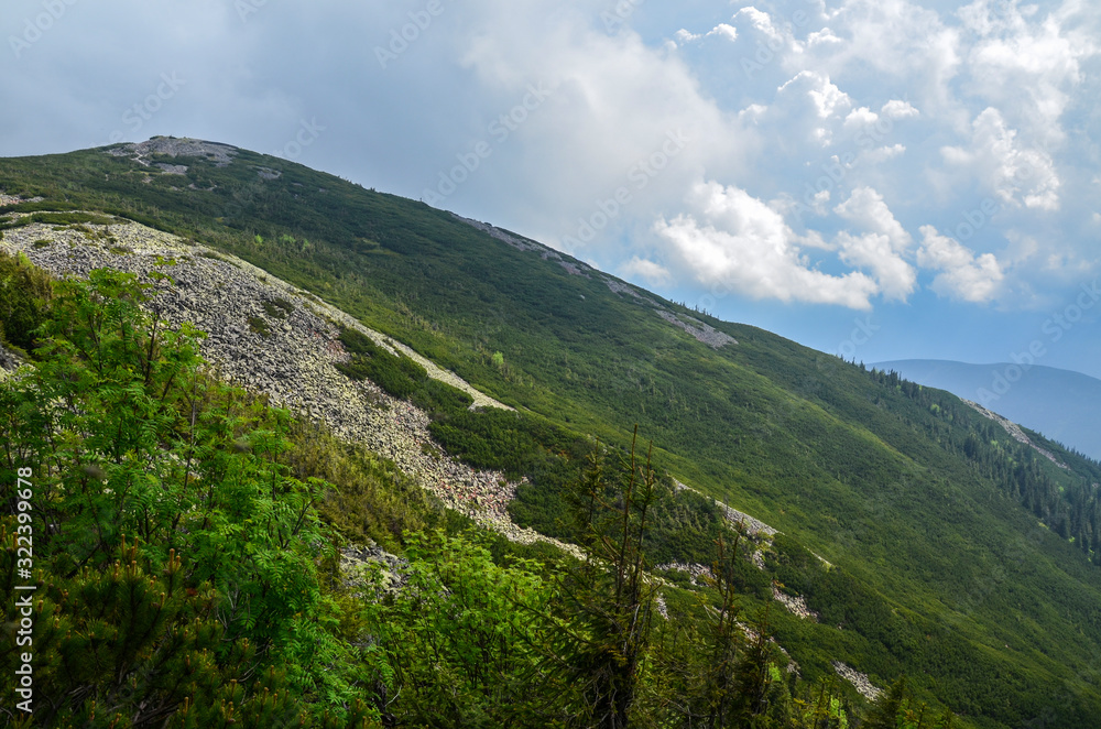 Fototapeta premium View of the traditional Gorgany mountain landscape in the Carpathians, Ukraine. 