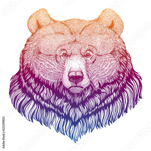 Grizzly bear. Big wild animal portrait. Hand drawn image for tattoo, t-shirt, emblem, badge, logo, patch.
