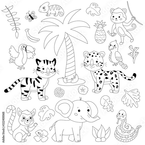 Coloring page of cartoon jungle animals and birds. Tropical plants, flowers and palm tree. Black and white illustration. Kawaii vector characters.
