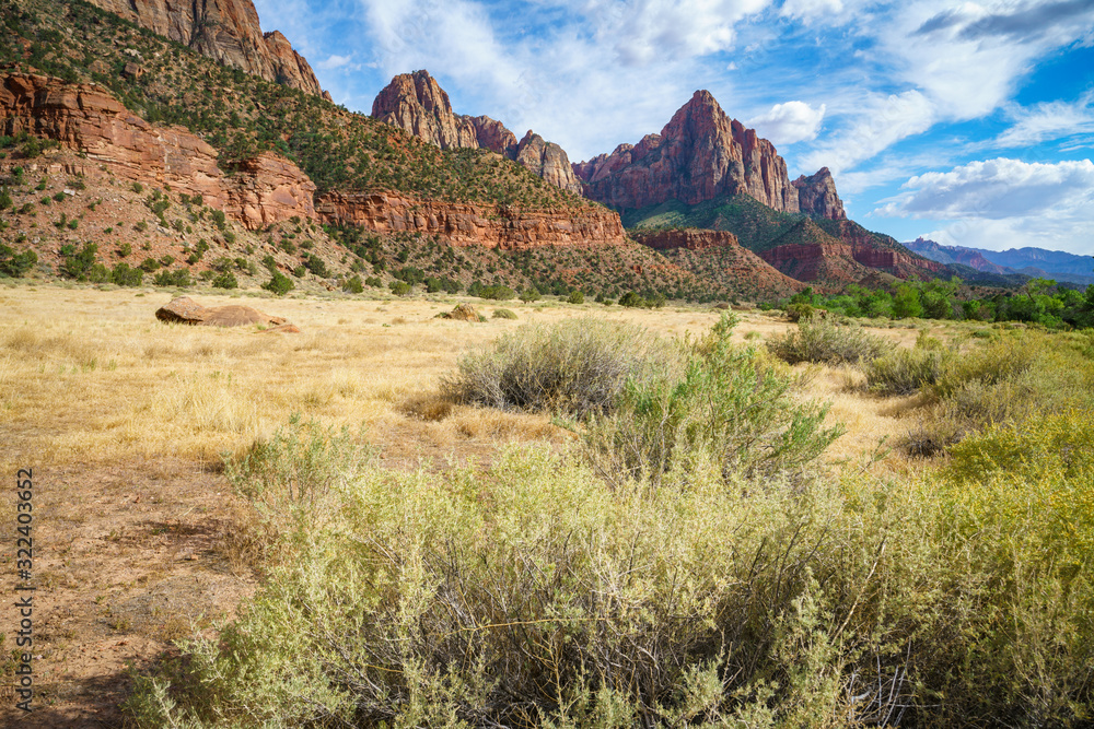 Fototapeta premium the watchman from parus trail in zion national park, usa
