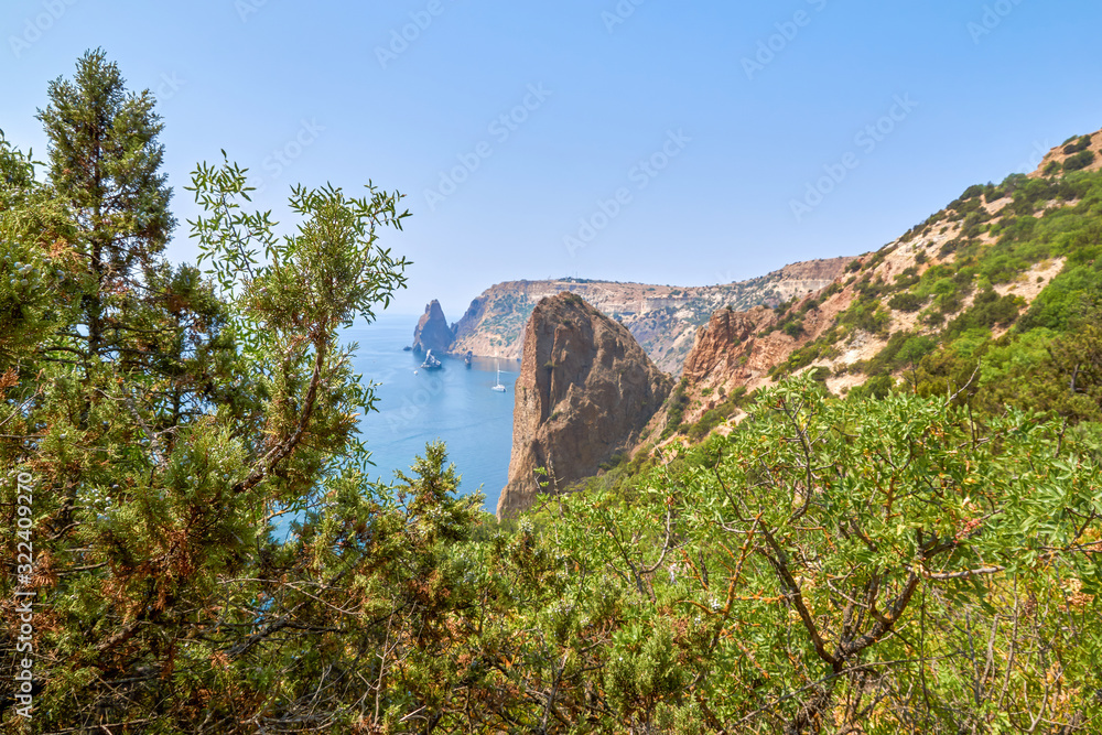 Sea bay from a height through the branches of trees. Nature reserve on the Black Sea. Cape Fiolent, Crimea Peninsula