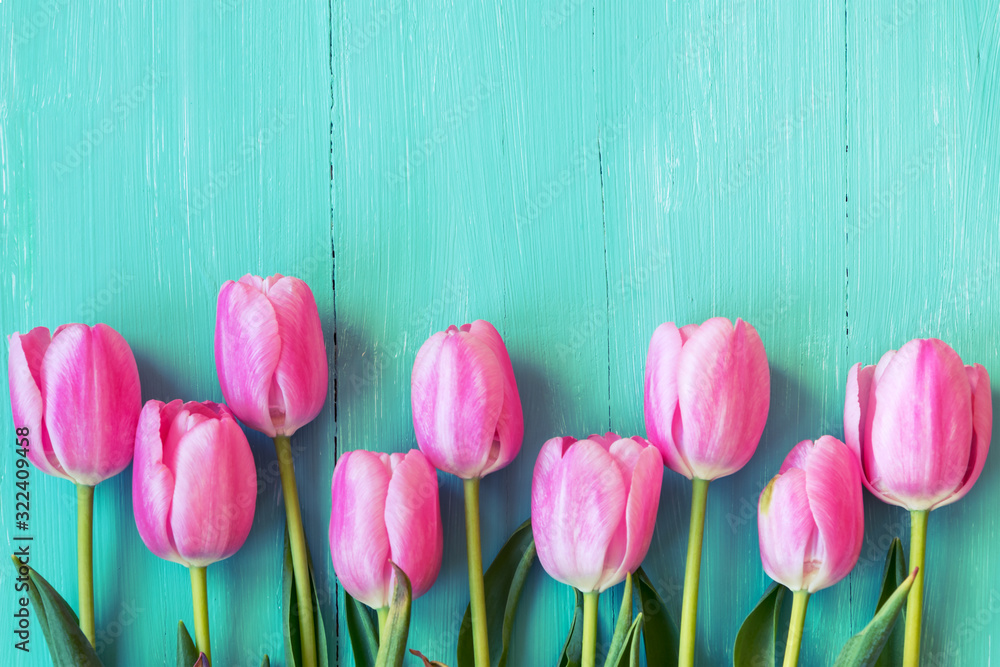 Pink tulips on turquoise wooden background. Women's day, Easter or spring concept. Copy space.