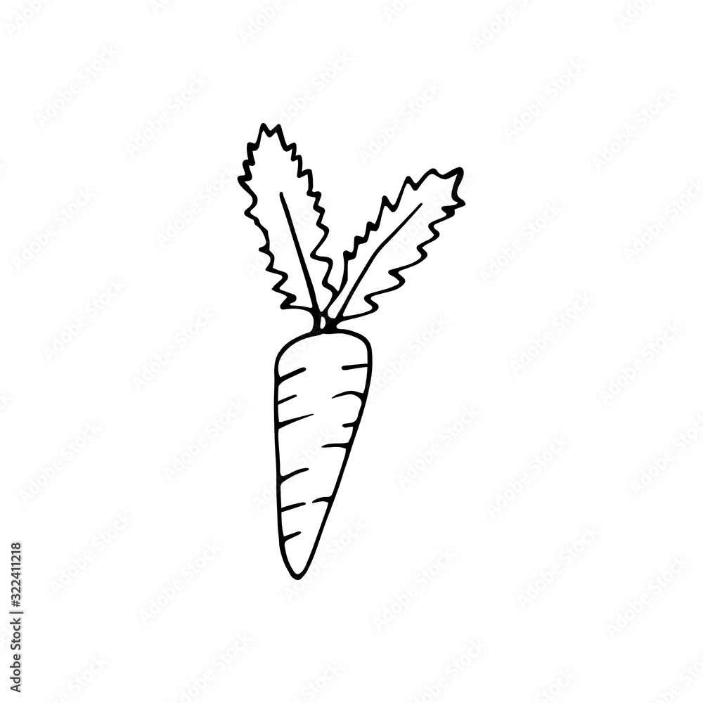 Single hand drawn carrot for easter design, greeting cards, posters, recipe, culinary design. Isolated on white background. Doodle vector illustration. Hand drawn element. Single hand drawn carrot for easter design, greeting cards, posters, recipe, culinary design. Isolated on white background. Doodle vector illustration. Hand drawn element.