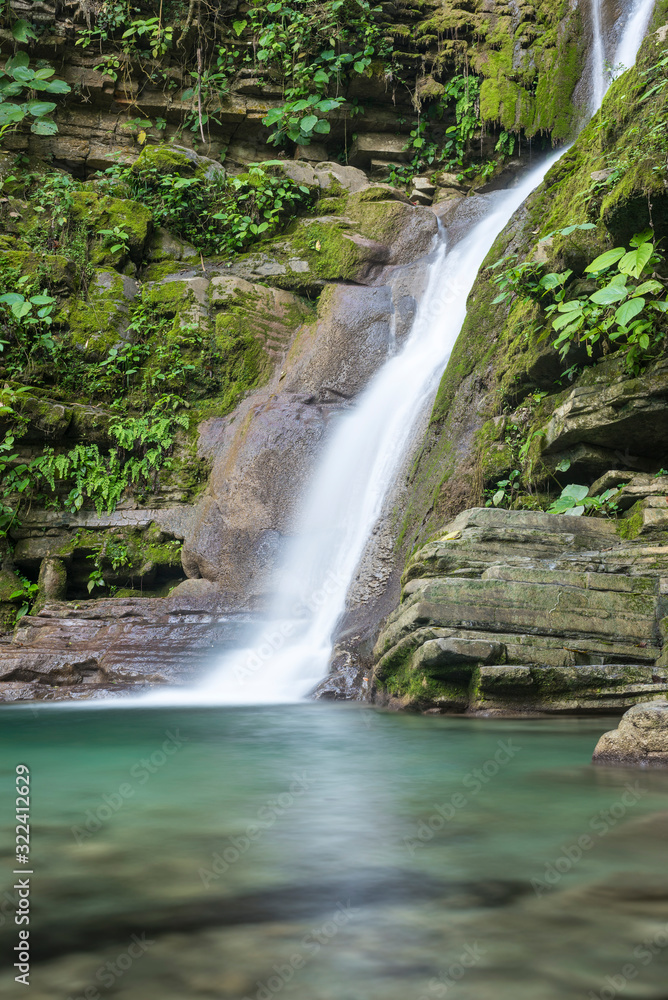 Fototapeta premium pozas y cascadas del jardín surrealista de Xilitla