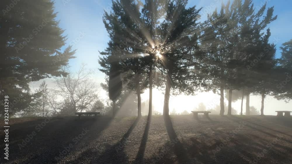 Rayos de sol celestiales atravesando árboles Rayos de sol celestiales atravesando árboles