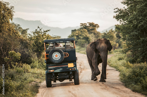 Sri Lanka, Sabaragamuwa Province, Udawalawe, Elephant walking past safari car in Udawalawe National Park photo