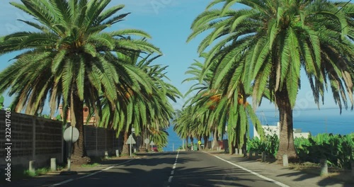 Palm trees passing by a blue sky. Driving through the sunny Beverly Hills. Los Angeles, California.