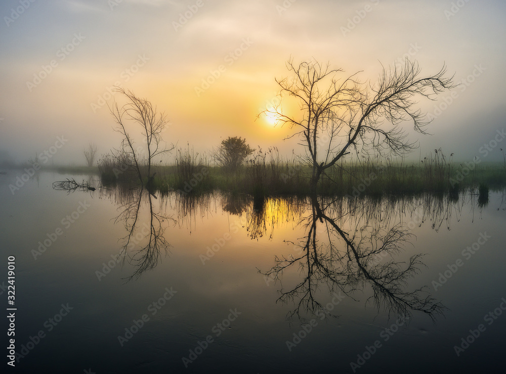 Dawn in the river valley. morning fog