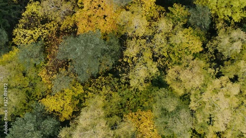 Wallpaper Mural Autumn Colourful Forest From Above, Captured with Drone. Fall Orange, Green, Yellow, Red Leaves Trees Woods. Torontodigital.ca