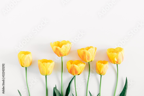 Wallpaper Mural Beautiful composition of tulip, spring flowers. Yellow tulips flowers on white background. Valentine's Day, Easter, 8th march, Happy Women's Day, Mother's Day. Flat lay, top view, copy space Torontodigital.ca