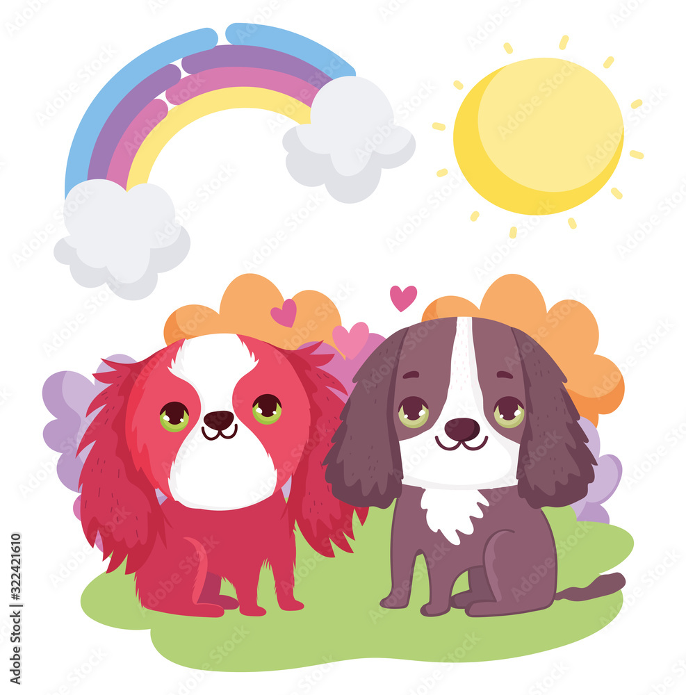 cute puppies sitting rainbow sun clouds pets