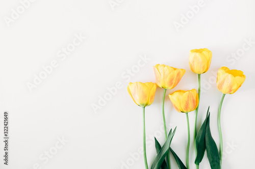 Beautiful composition of tulip, spring flowers. Yellow tulips flowers on white background. Valentine's Day, Easter, 8th march, Happy Women's Day, Mother's Day. Flat lay, top view, copy space #322421649