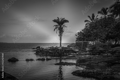 Hilo, Hawaii, USA. - January 9, 2012: Black and white photo of ocean coastline with rocks and trees of Liliuokalani Gardens. Overcast with sun rays painting lighted lines. photo