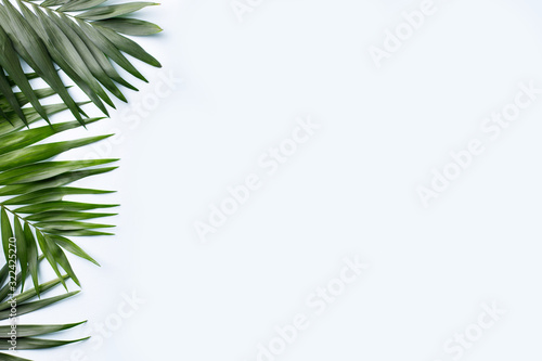 Summer vibes. Vacation  paradise  ocean shore resort  tropical beach travel concept  sea coast. Coconut palm leaves on white background. Summertime creative layout  copy space