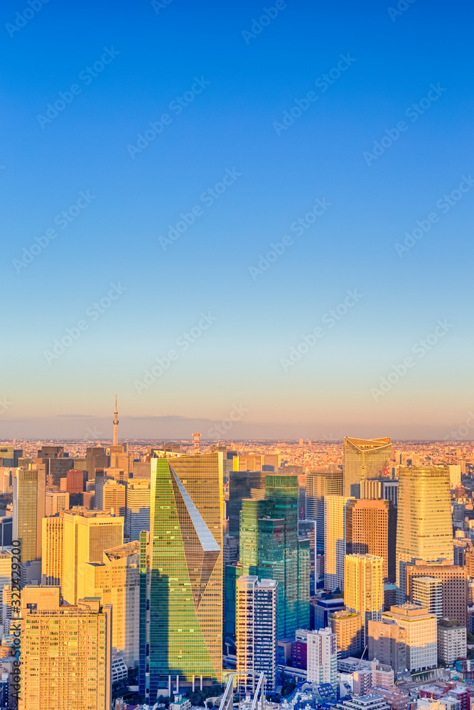 Scenic Skyline of Tokyo City in Japan with Tokyo Sky Tree Tower and Mountain Fujiyama in The Background.