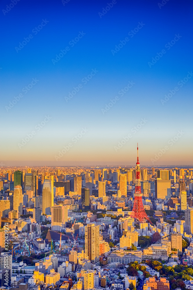 Unique Destinations Concepts. Tokyo Skyscrapers Skyline at Blue Hour in Japan with Renowned Tokyo Tower in The Background.