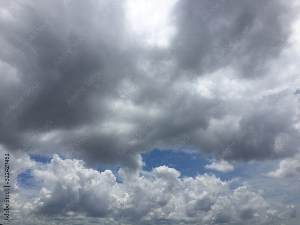 Fototapeta premium 空