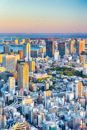 Spectacular View of Tokyo Skyline at Blue Hour in Japan with a Line of Skyscrapers At Foreground