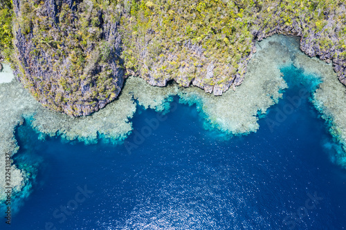 Seen from above, a healthy coral reef fringes a rugged limestone island within Raja Ampat, Indonesia. This beautiful region is thought to be the world's epicenter of marine biodiversity.