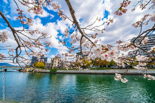 Wallpaper Mural 桜と原爆ドーム Torontodigital.ca