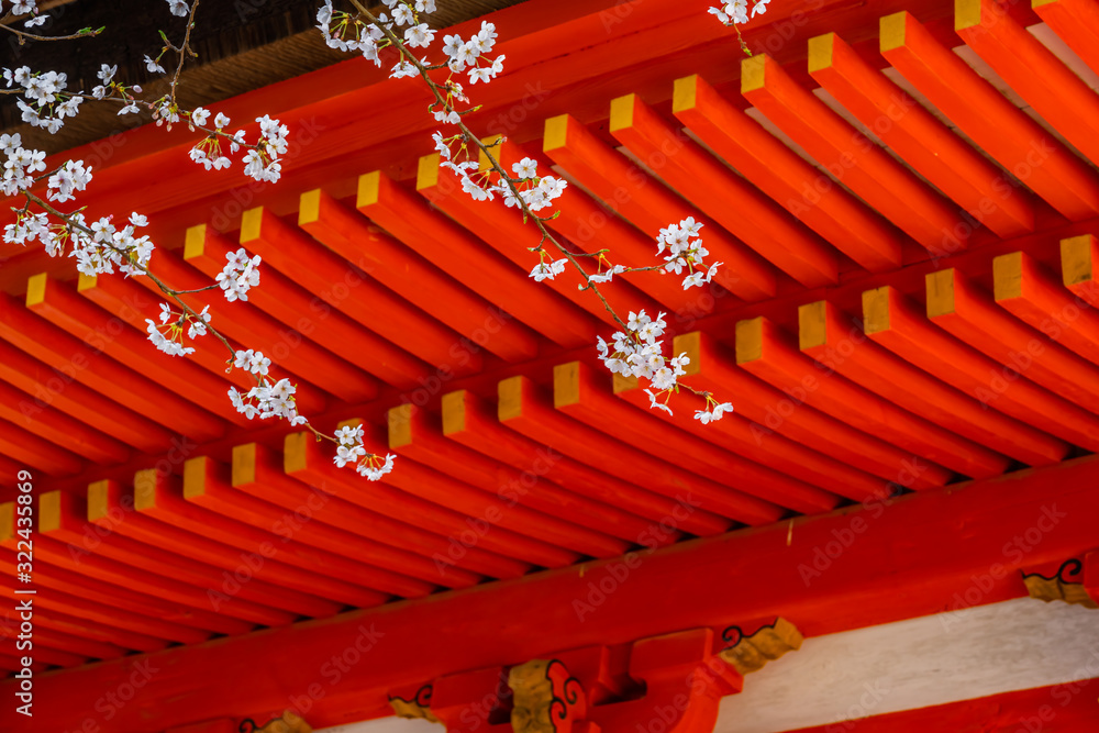 Fototapeta premium 桜と五重塔