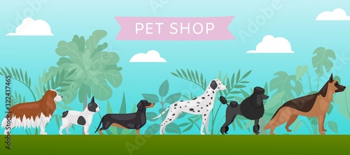 Pet shop banner with different breeds dogs, petshop service vector illustration. Food for big size dogs and home pets. Happy and friendly dogs, dalmatian, bulldog, beagle and poodel with typography.
