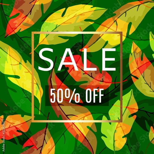 Autumn leaves with typography sale frame vector illustration. Cartoon banner of various veined fall colorful leaves. Autumn poster for september or november shops.
