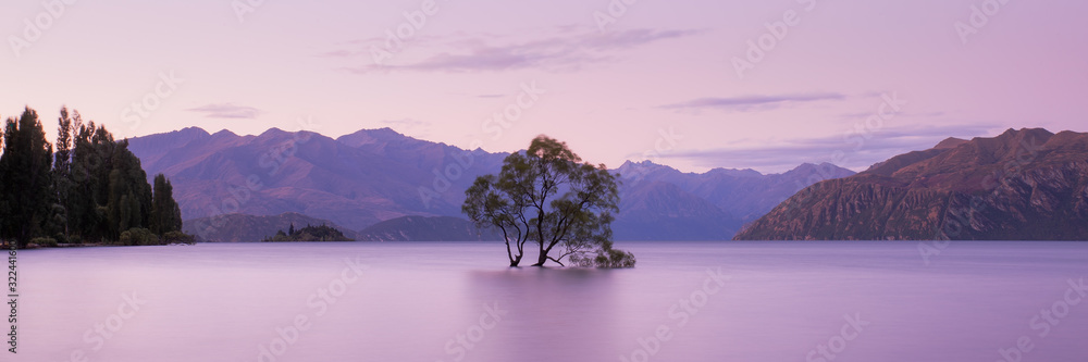 That Wanaka Tree at Sunset, Lake Wanaka New Zealand, Popular Travel Destination South Island, NZ - obrazy, fototapety, plakaty 