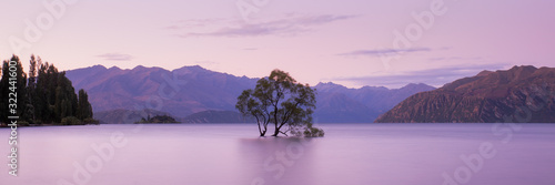 Fototapeta That Wanaka Tree at Sunset, Lake Wanaka New Zealand, Popular Travel Destination South Island, NZ