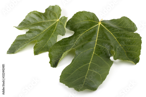Two fig leaves