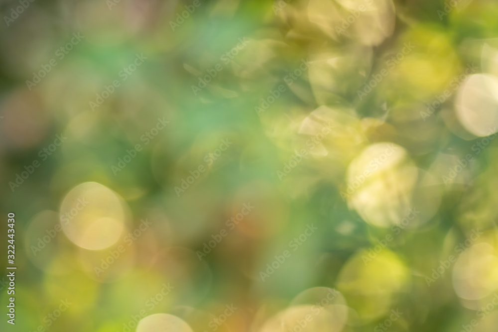 Obraz premium Beautiful blurry green and yellow nature background, Sunlight shining through the leaves of trees, Natural blurred background, Abstract nature background, Nature green bokeh.