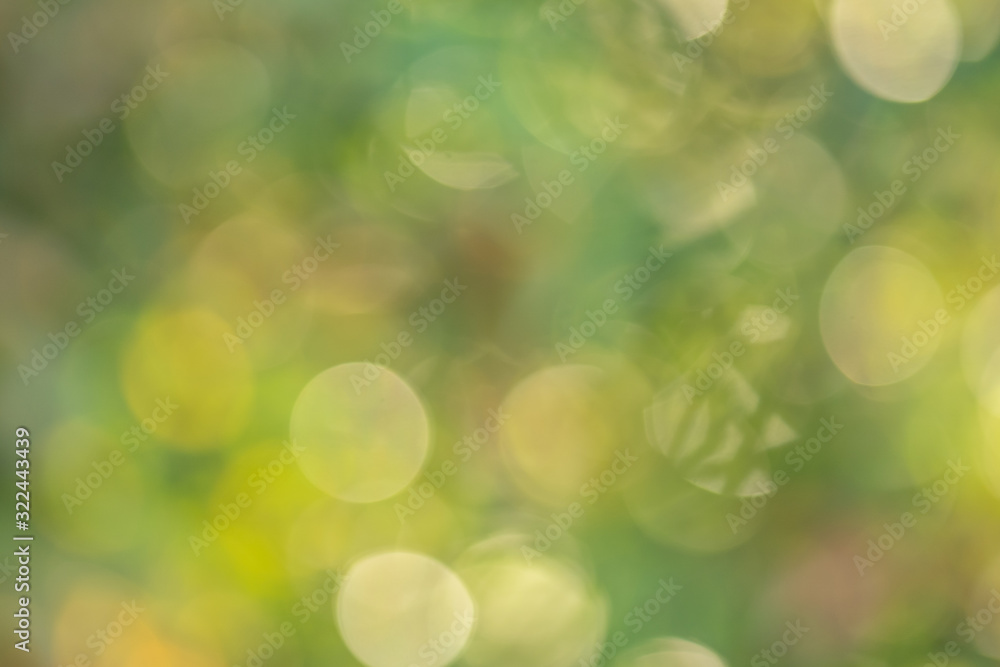 Beautiful blurry green and yellow nature background, Sunlight shining through the leaves of trees, Natural blurred background, Abstract nature background, Nature green bokeh. Beautiful blurry green and yellow nature background, Sunlight shining through the leaves of trees, Natural blurred background, Abstract nature background, Nature green bokeh.