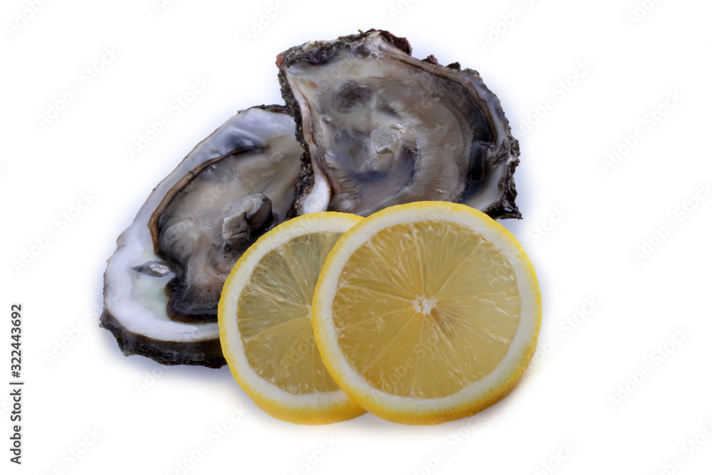 Opened oysters and lemon slices Opened oysters and lemon slices