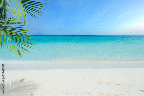 Fototapeta Naklejka Na Ścianę i Meble -  Tropical beach with coconut palm, sea and sand, summer holiday background. Travel and beach vacation, free space for text.