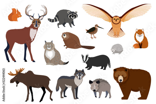 European and Canadian wild forest animals, set of isolated cartoon characters, vector illustration. Wildlife fauna of northern Europe, bear, wolf, moose and fox. Woodland animals of Canada, forest owl
