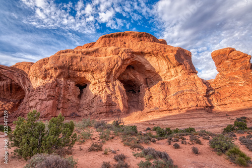 Desert Landscape