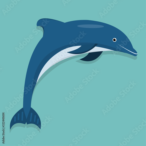dolphin vector illustration in flat style 