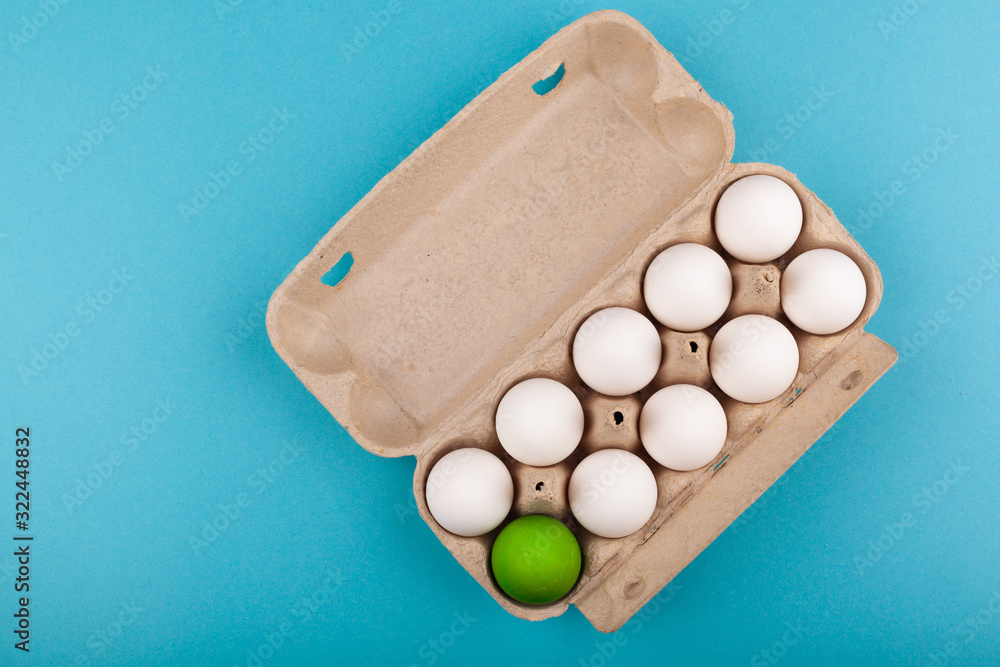 Egg Chicken eggs. Top view of an open gray box with white eggs Isolated on a blue background. One egg of a different color, a green egg. The concept of focus, outcast, not like everyone else, LGBT Egg Chicken eggs. Top view of an open gray box with white eggs Isolated on a blue background. One egg of a different color, a green egg. The concept of focus, outcast, not like everyone else, LGBT