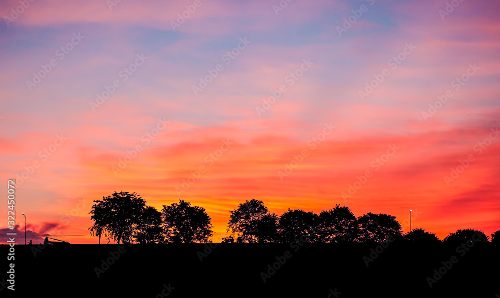 sunset over the field