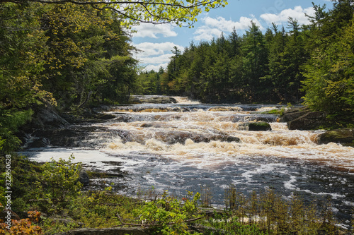 Rapids on a river in the middle of the green forest. Blue cloudy sky.