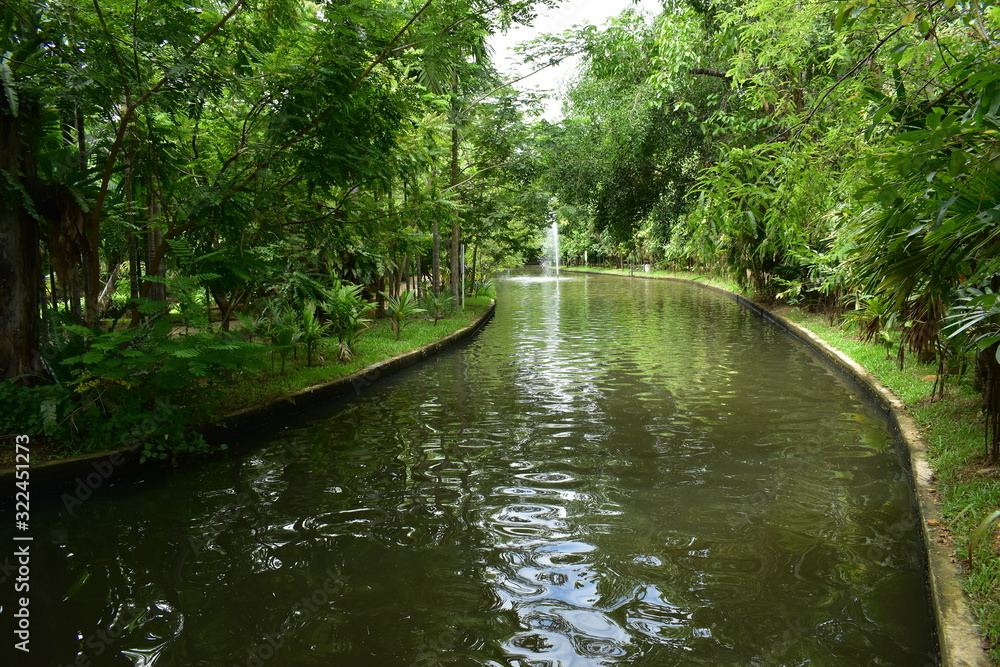 landscape of public park in the morning with view of water small pond landscape of public park in the morning with view of water small pond