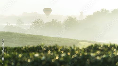 View of beautiful tea plantation with a hot air balloon in morning time at Chiangrai  Thailand.