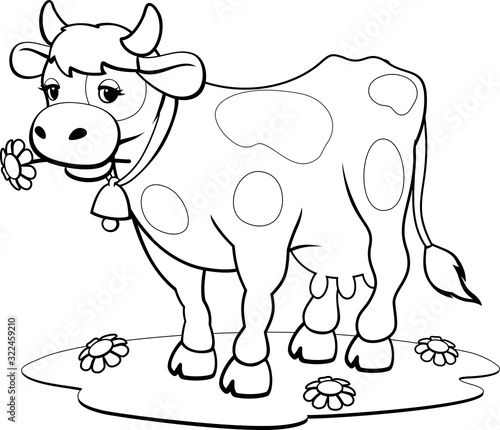 Cow coloring pages. Coloring book design for kids and children