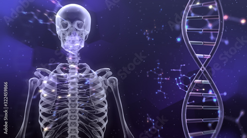 Human Body Skeleton Medical DNA Science Technology 3D illustration background. photo