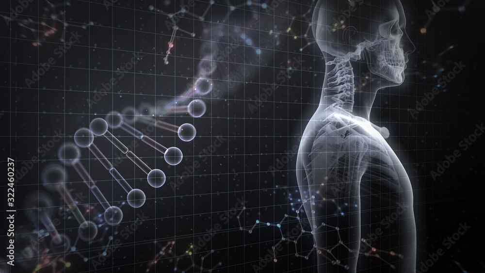 Human Body Skeleton Medical DNA Science Technology 3D illustration background. Human Body Skeleton Medical DNA Science Technology 3D illustration background.