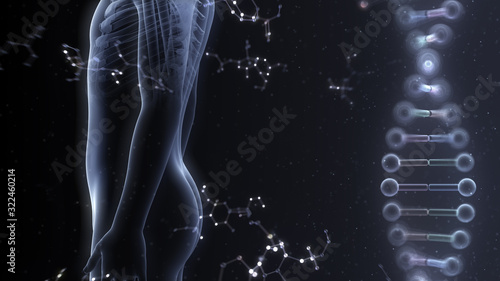 Human Body Skeleton Medical DNA Science Technology 3D illustration background. photo