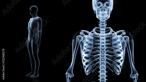 Human Body Skeleton Medical DNA Science Technology 3D illustration background.
